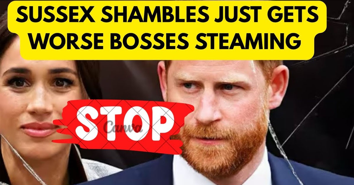 SUSSEX SHAMBLES JUST GOT A WHOLE LOT WORSE - BOSSES FUMING