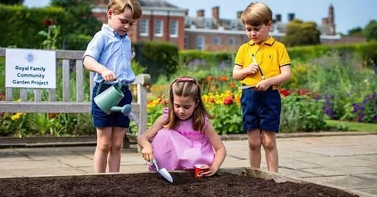 Prince William Spills the Royal Tea: A Refreshingly Honest Vision for His Family